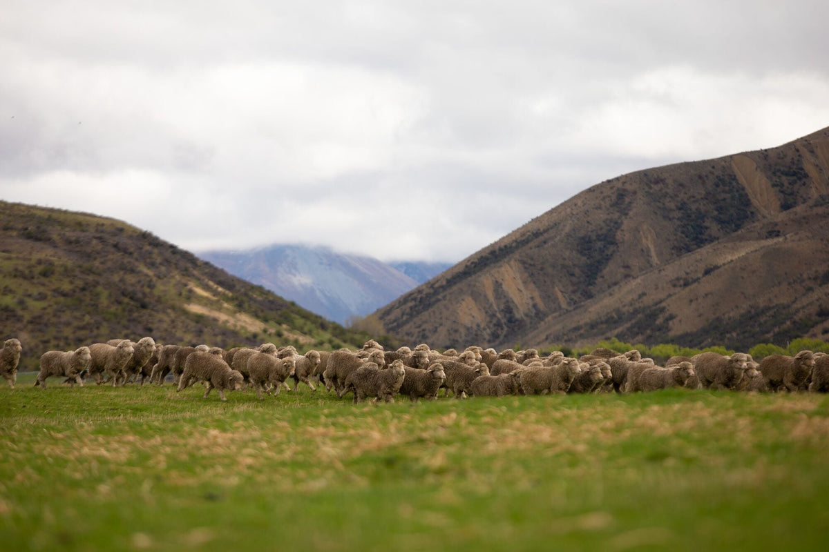 What is Responsible wool