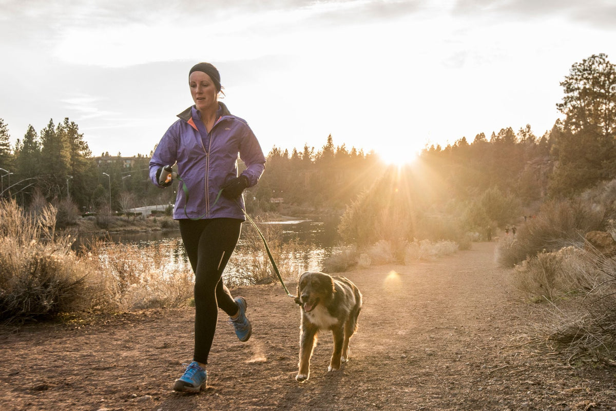 Tips for camping with dogs